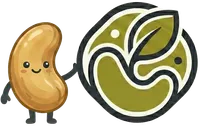 Cashew